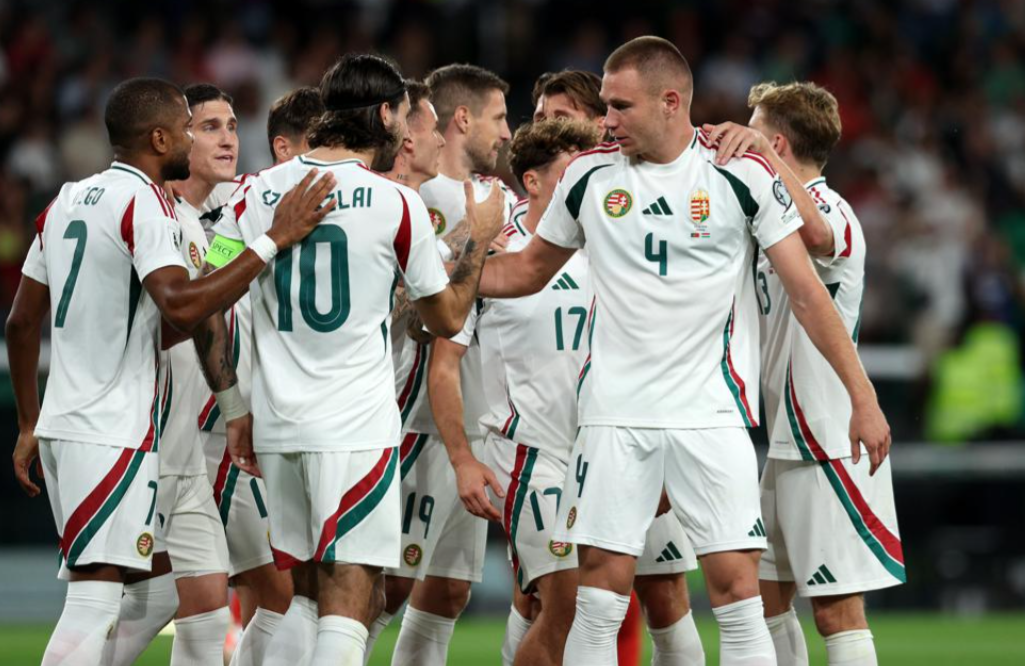 这样, vwd 这样, vwd