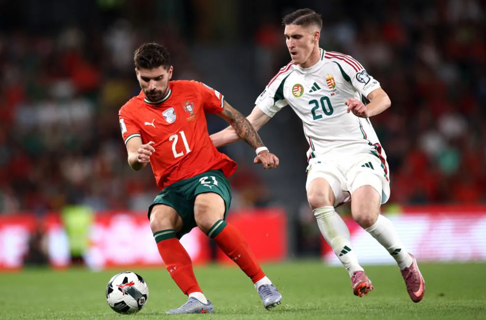 net, 场上, 牙利 net, 场上, 牙利